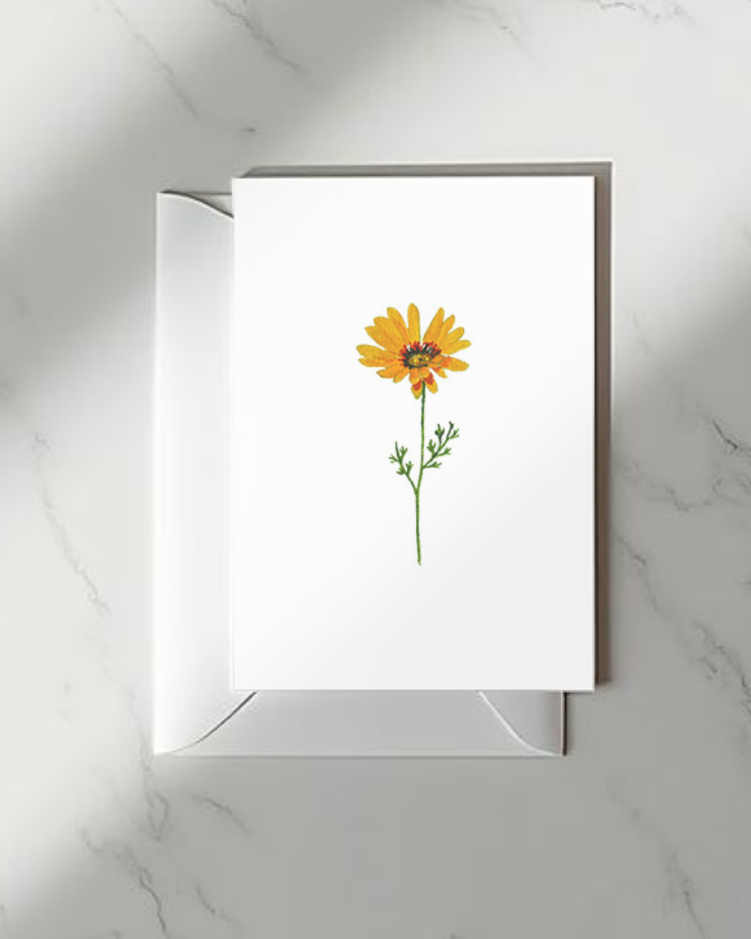 Ursinia Greeting Card