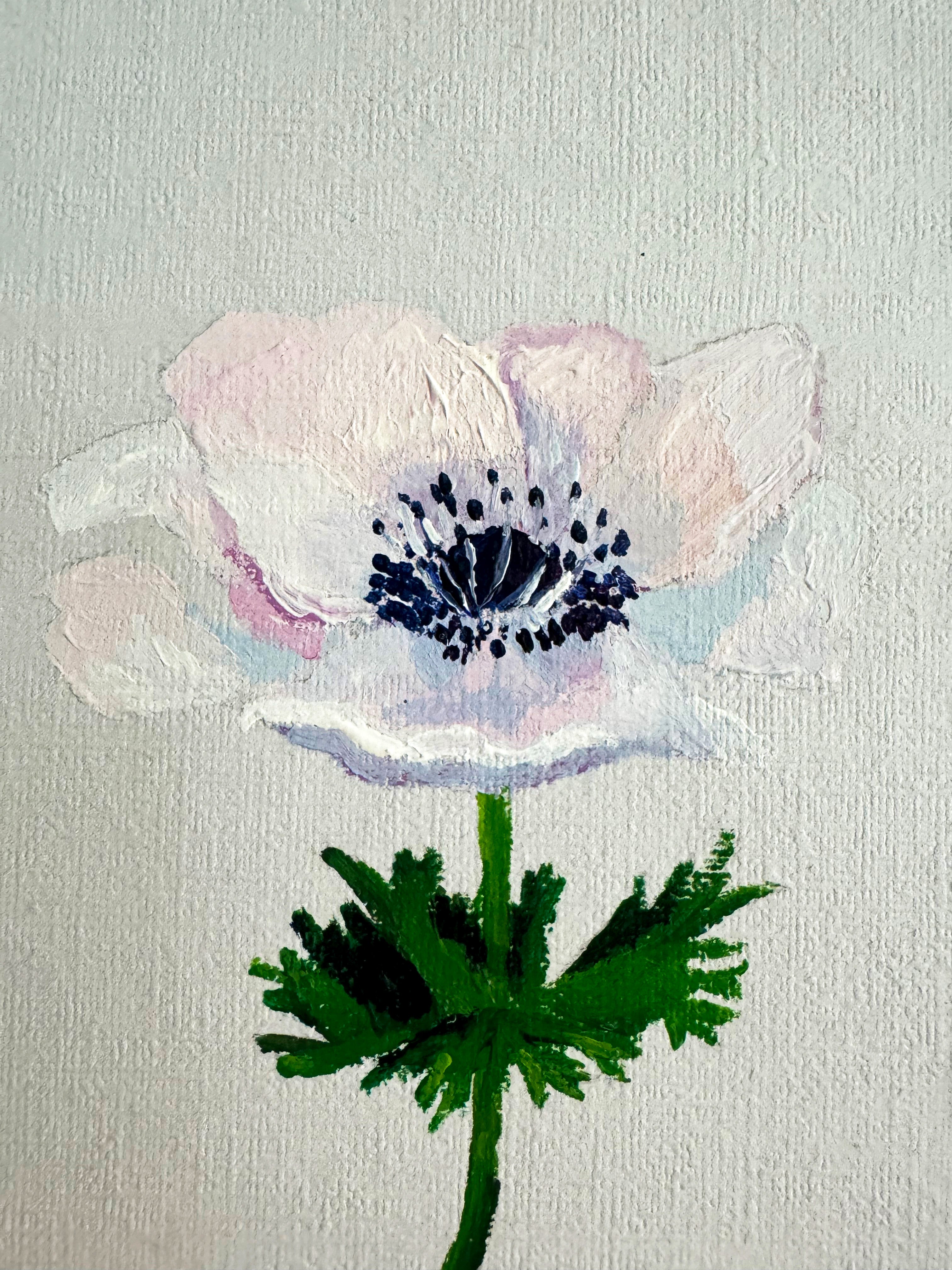 Anemone