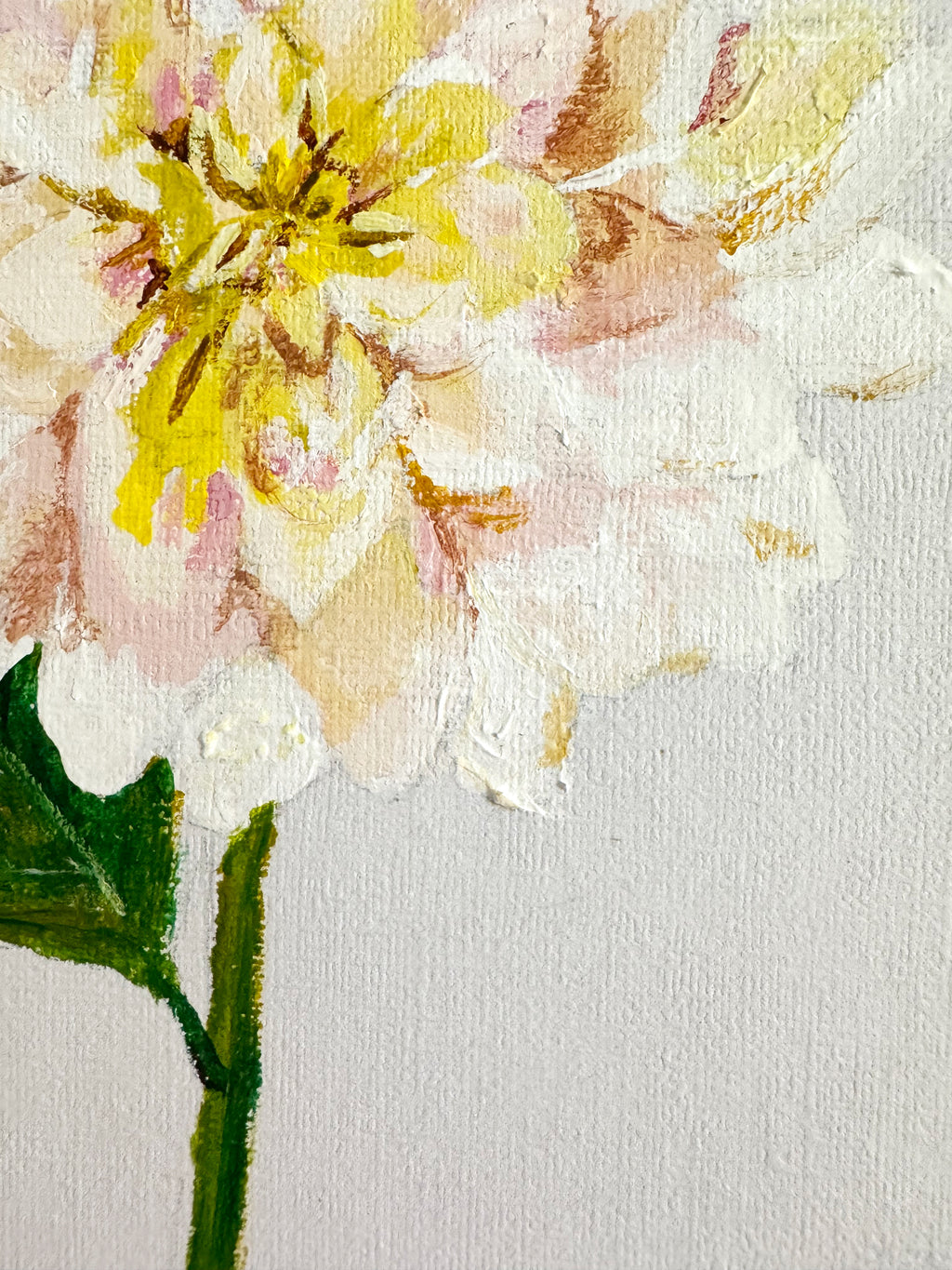 Dahlia