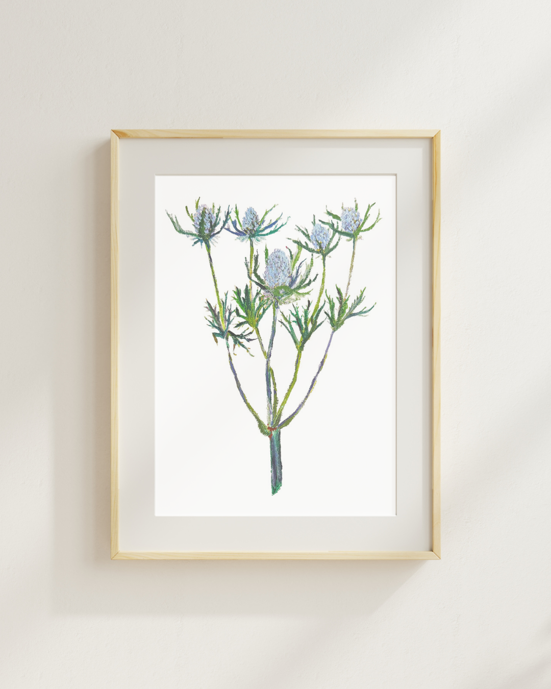 Eryngium Print