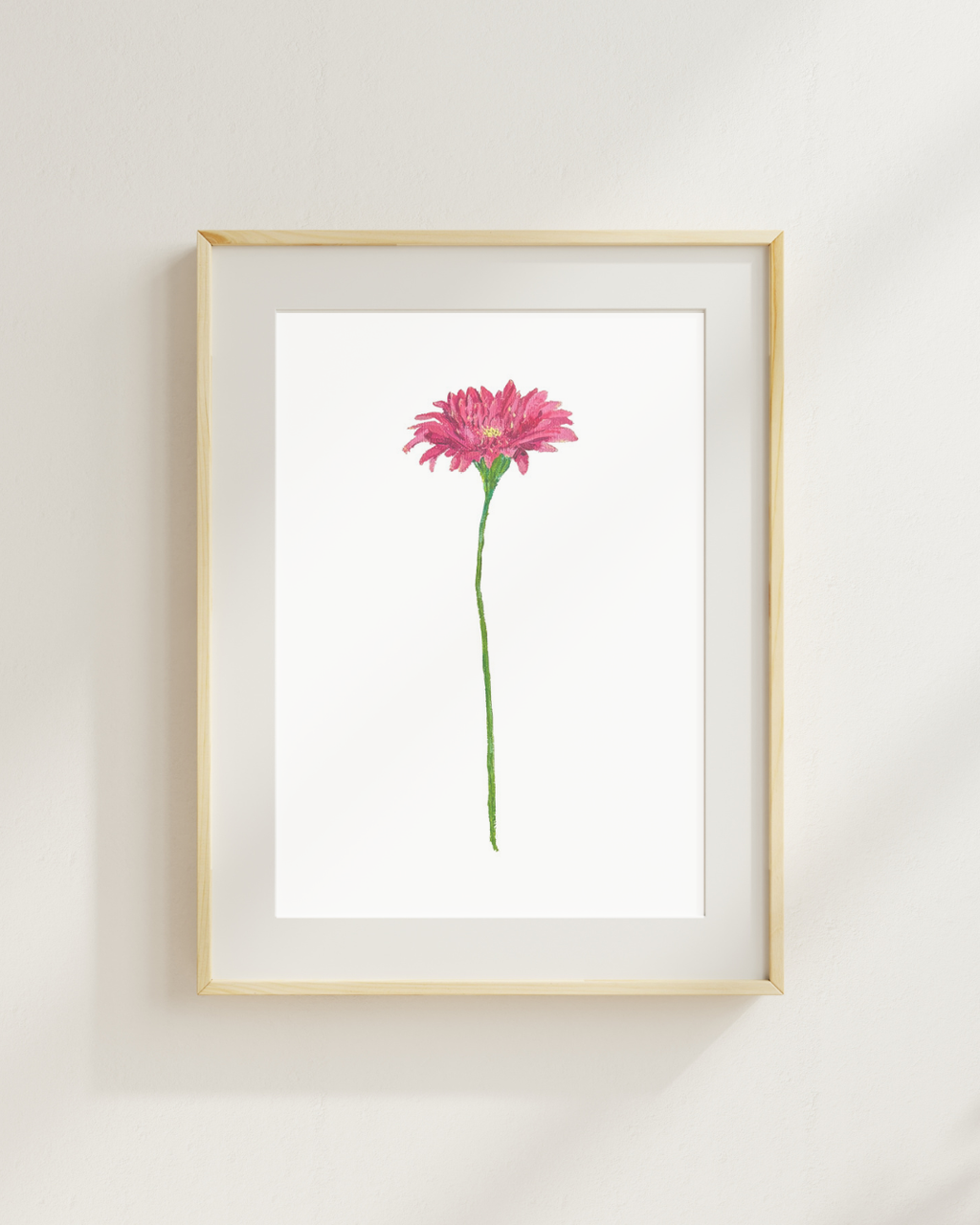 Gerbera Daisy Print