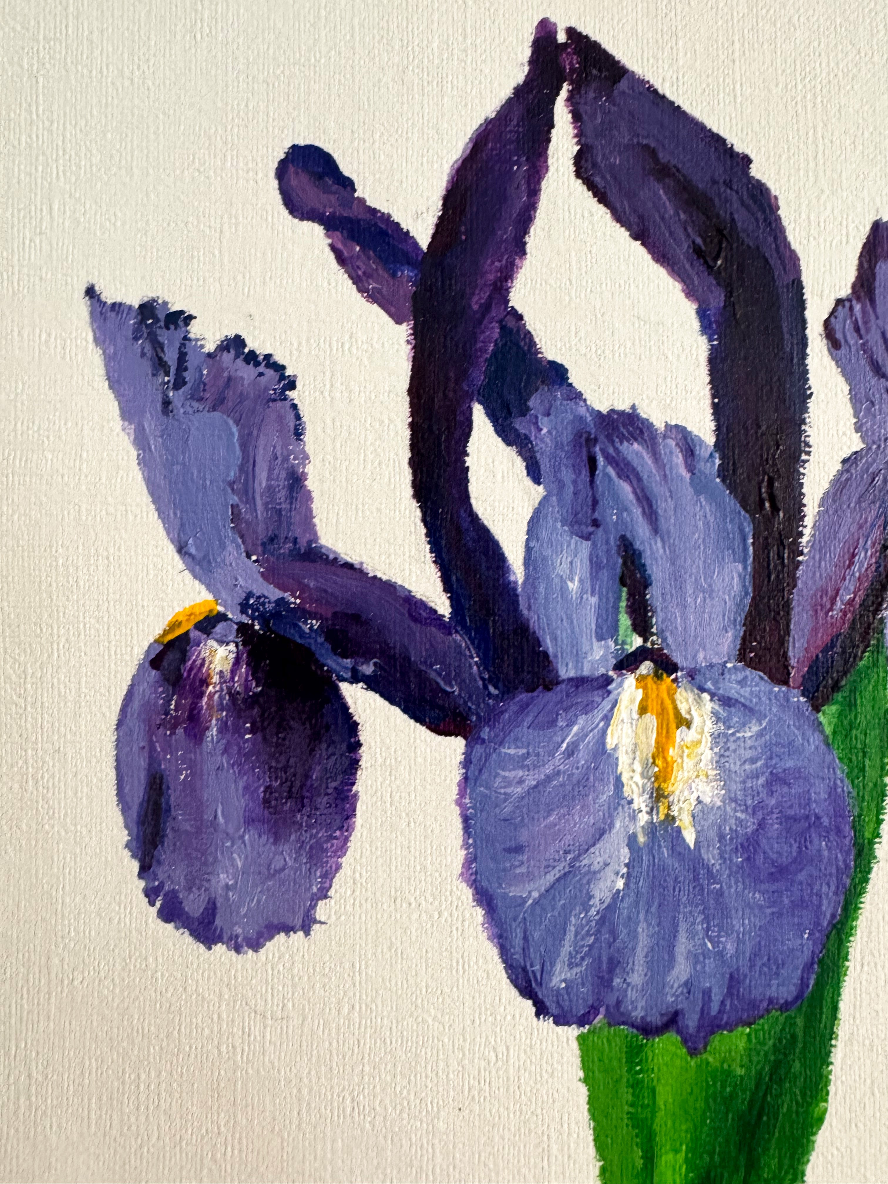 Iris