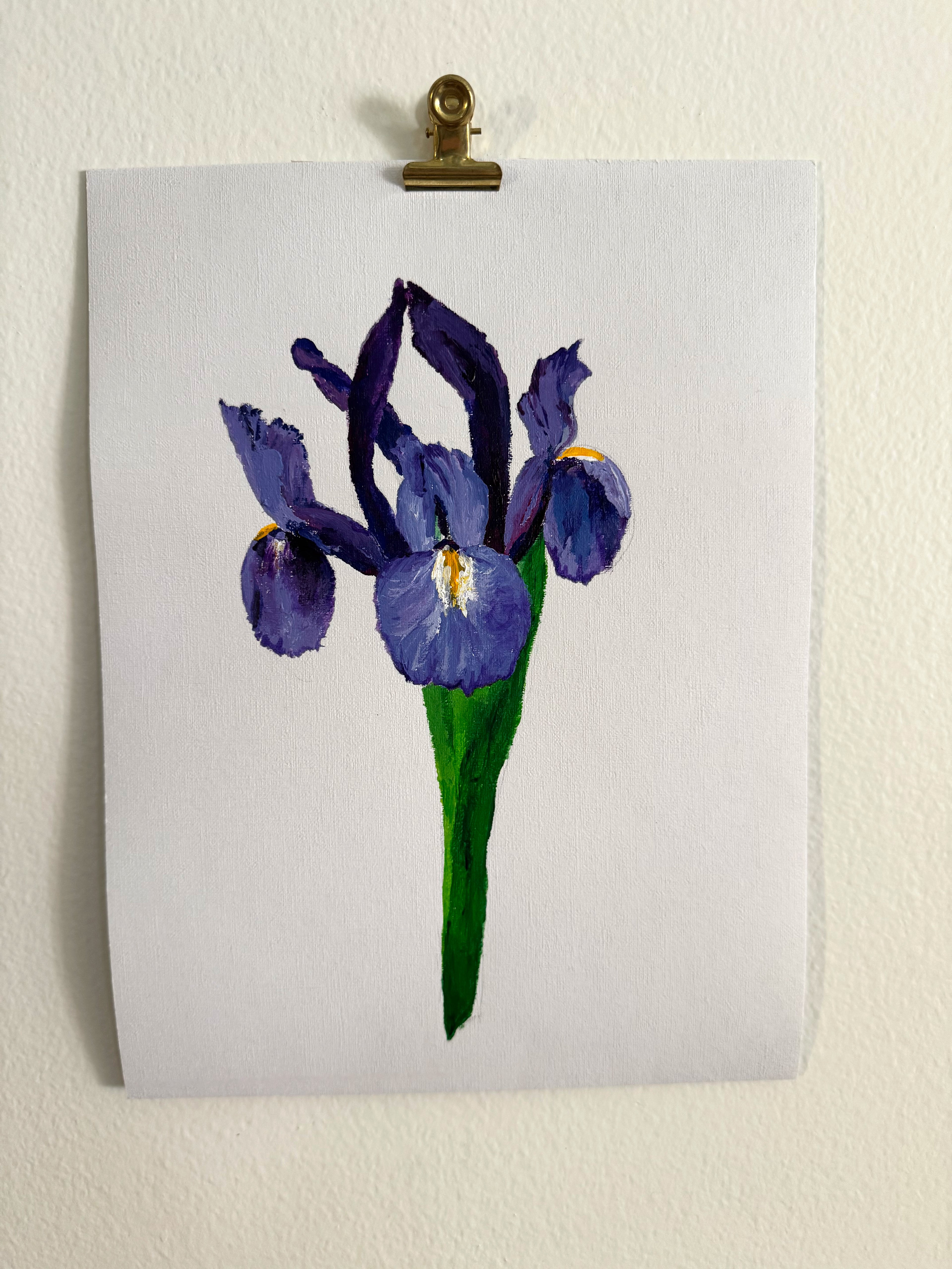 Iris