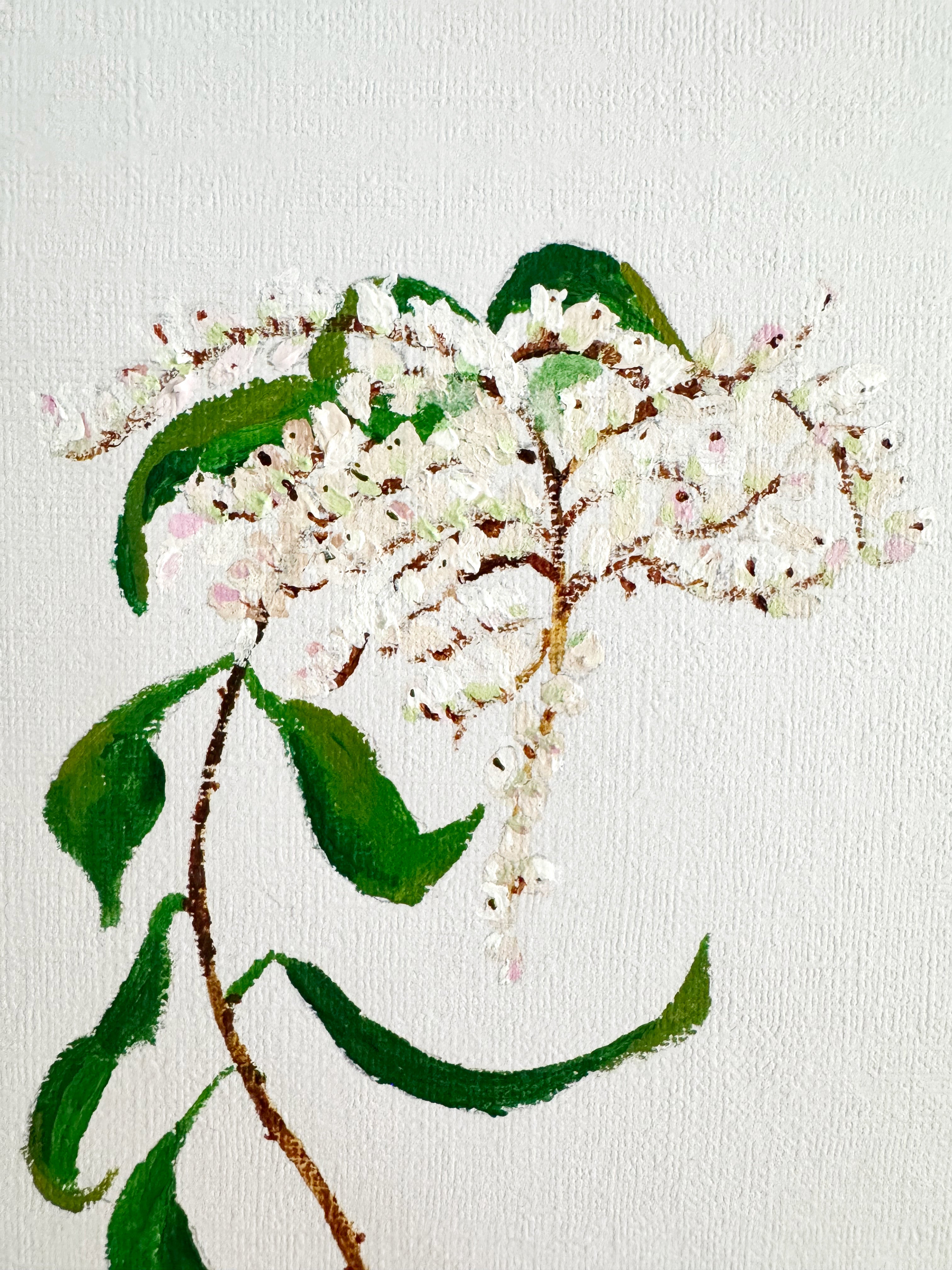 Japonica