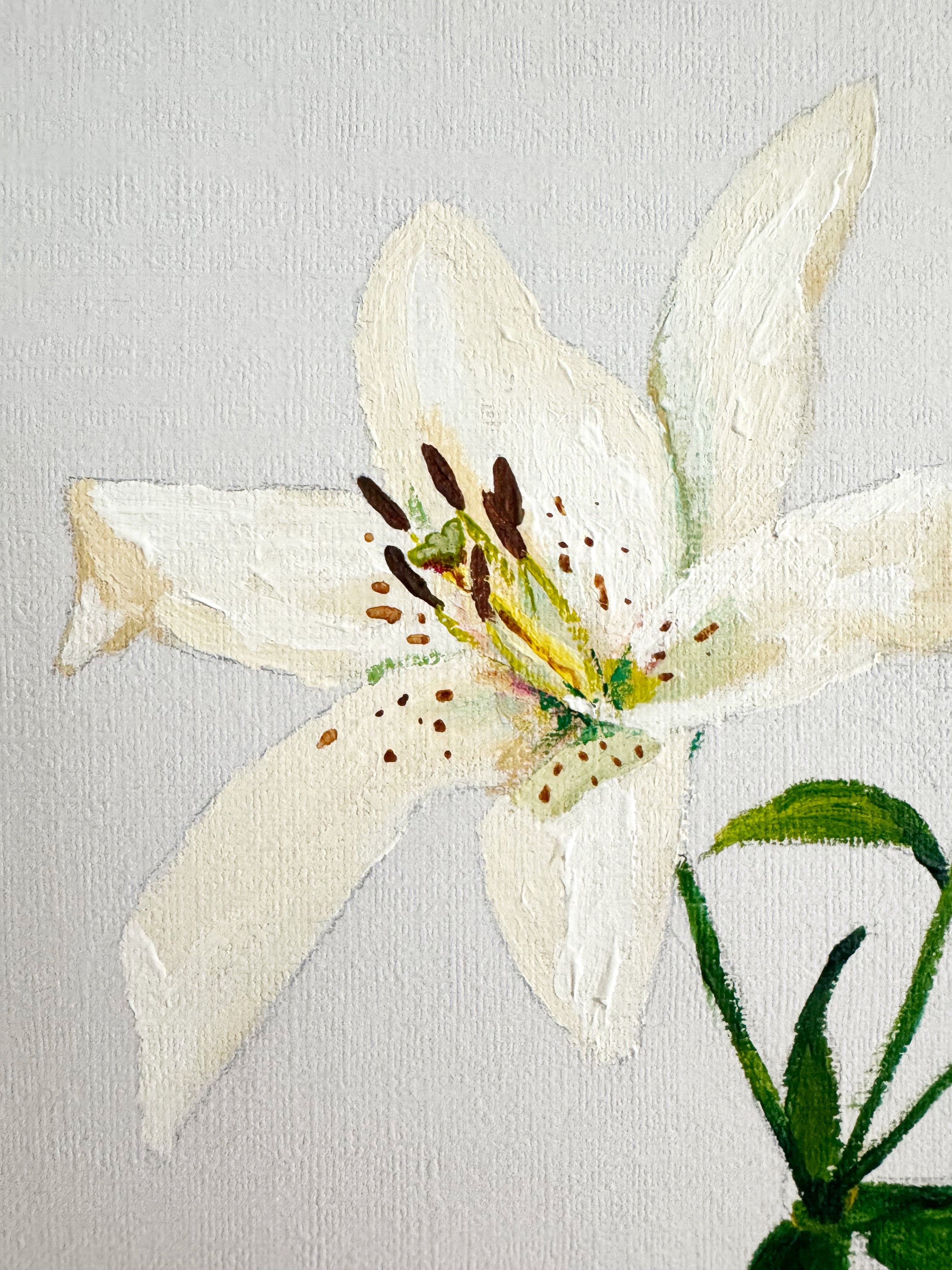 Lily