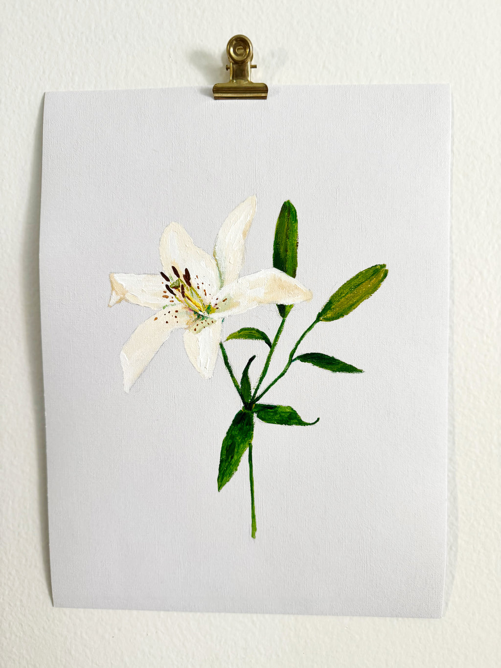 Lily