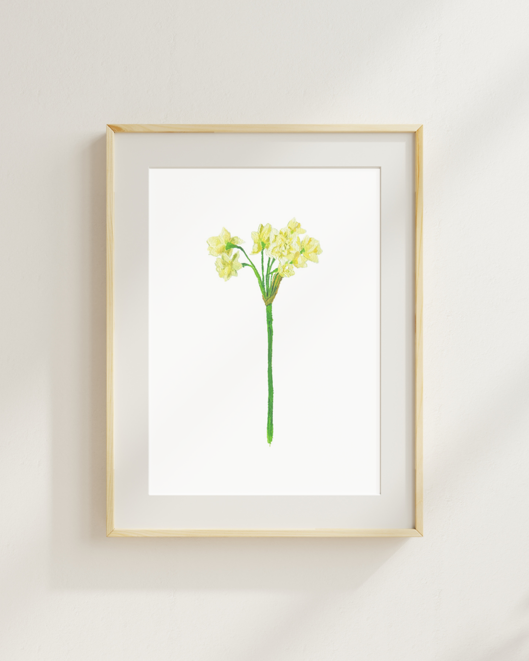 Narcissus Print