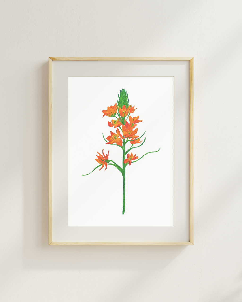 Ornotjoglaum Print