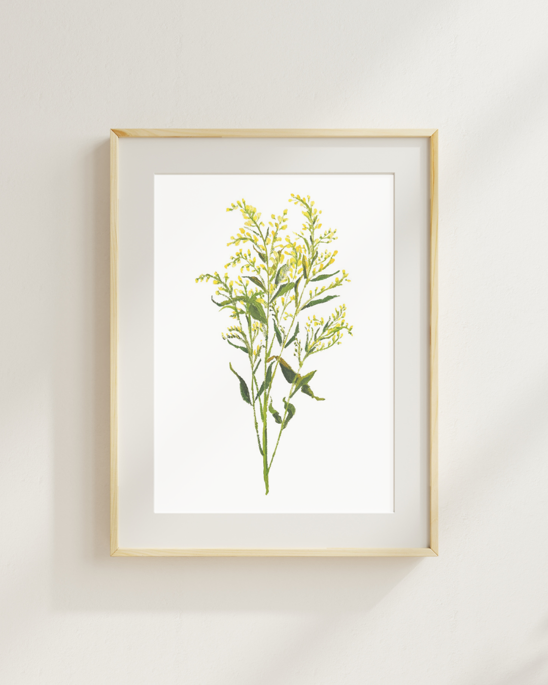 Solidago Print