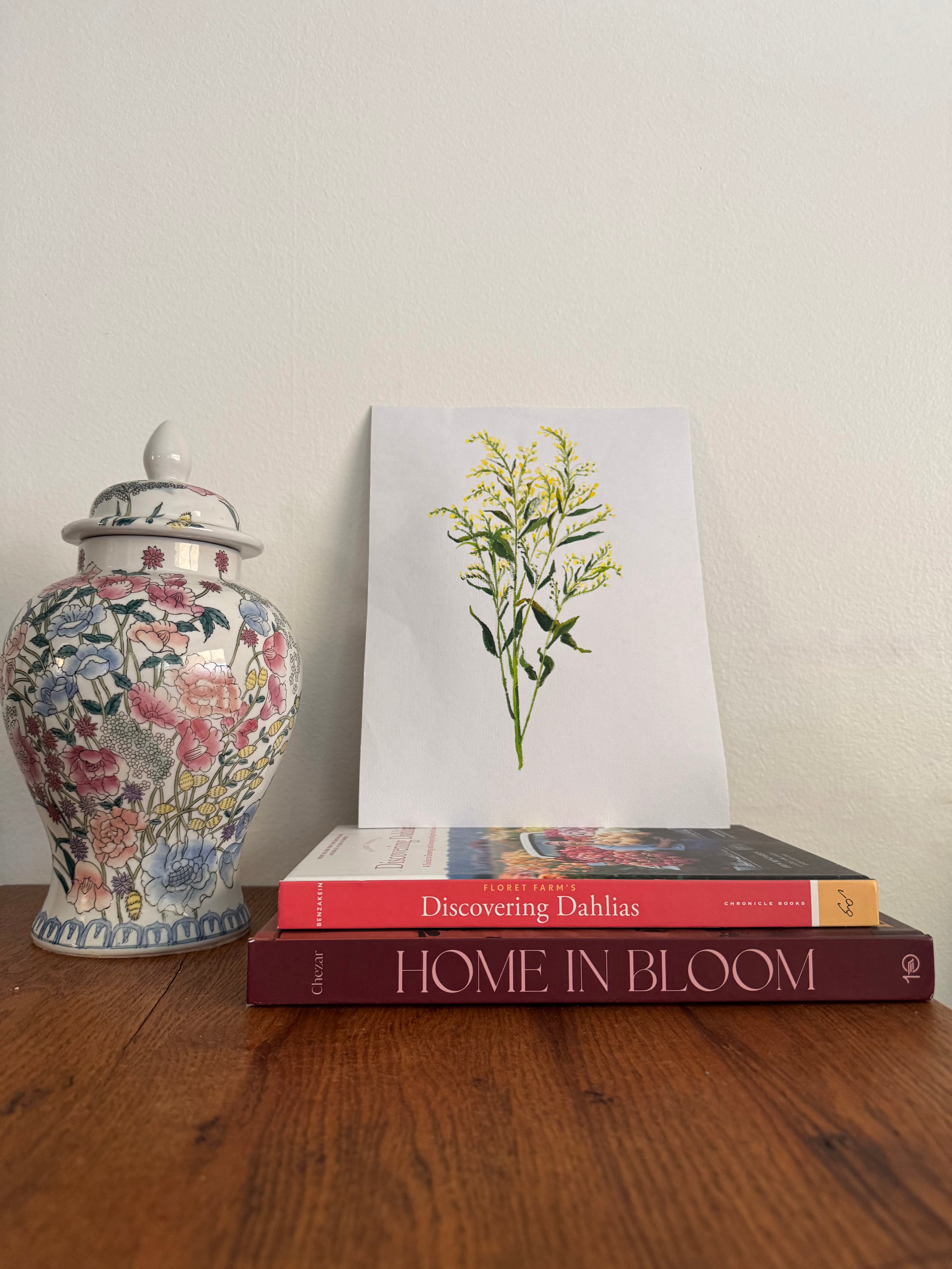 Solidago