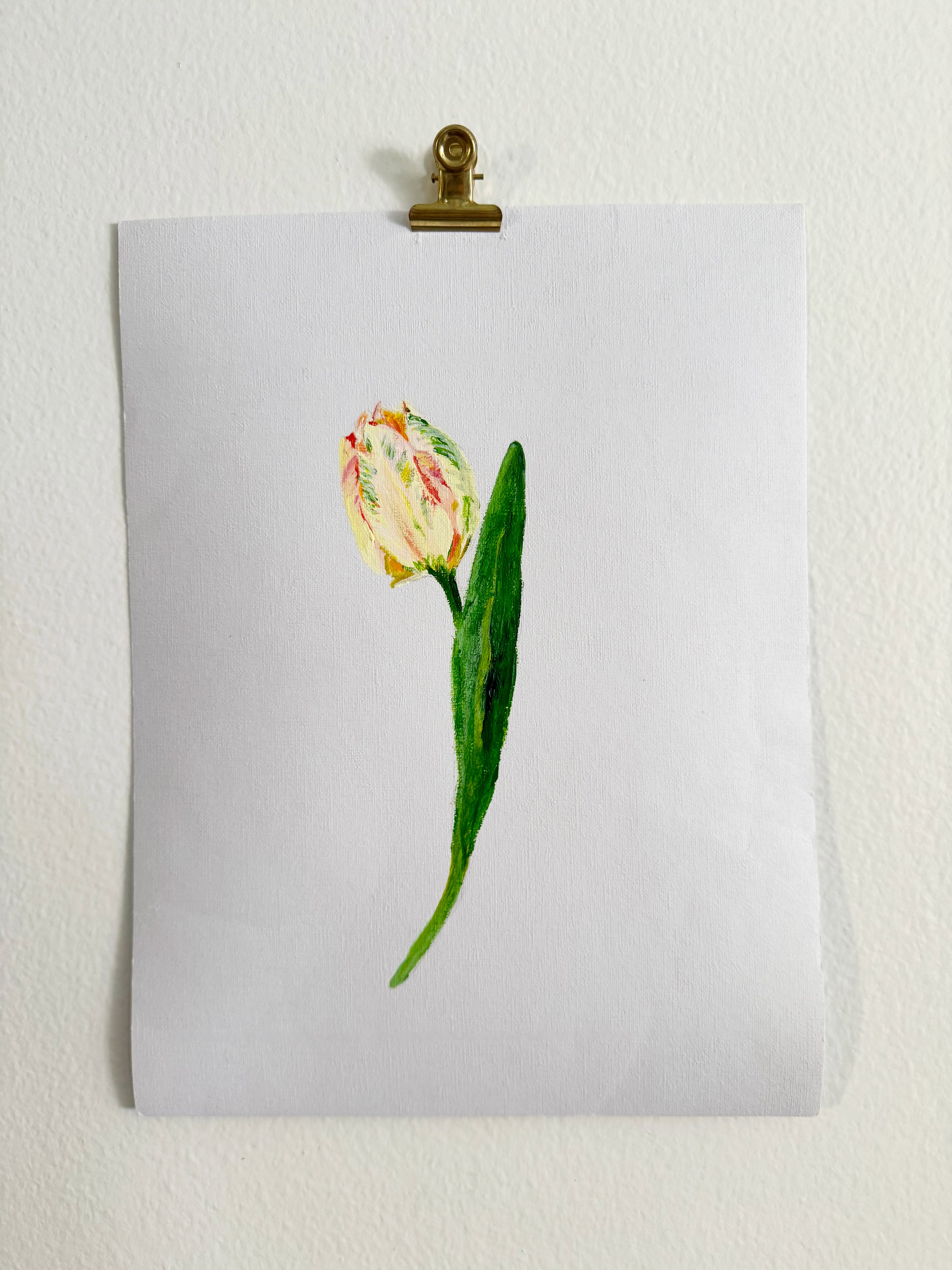 Tulip