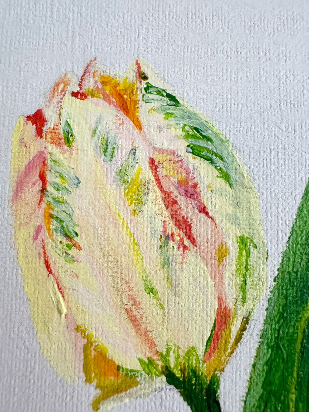 Tulip