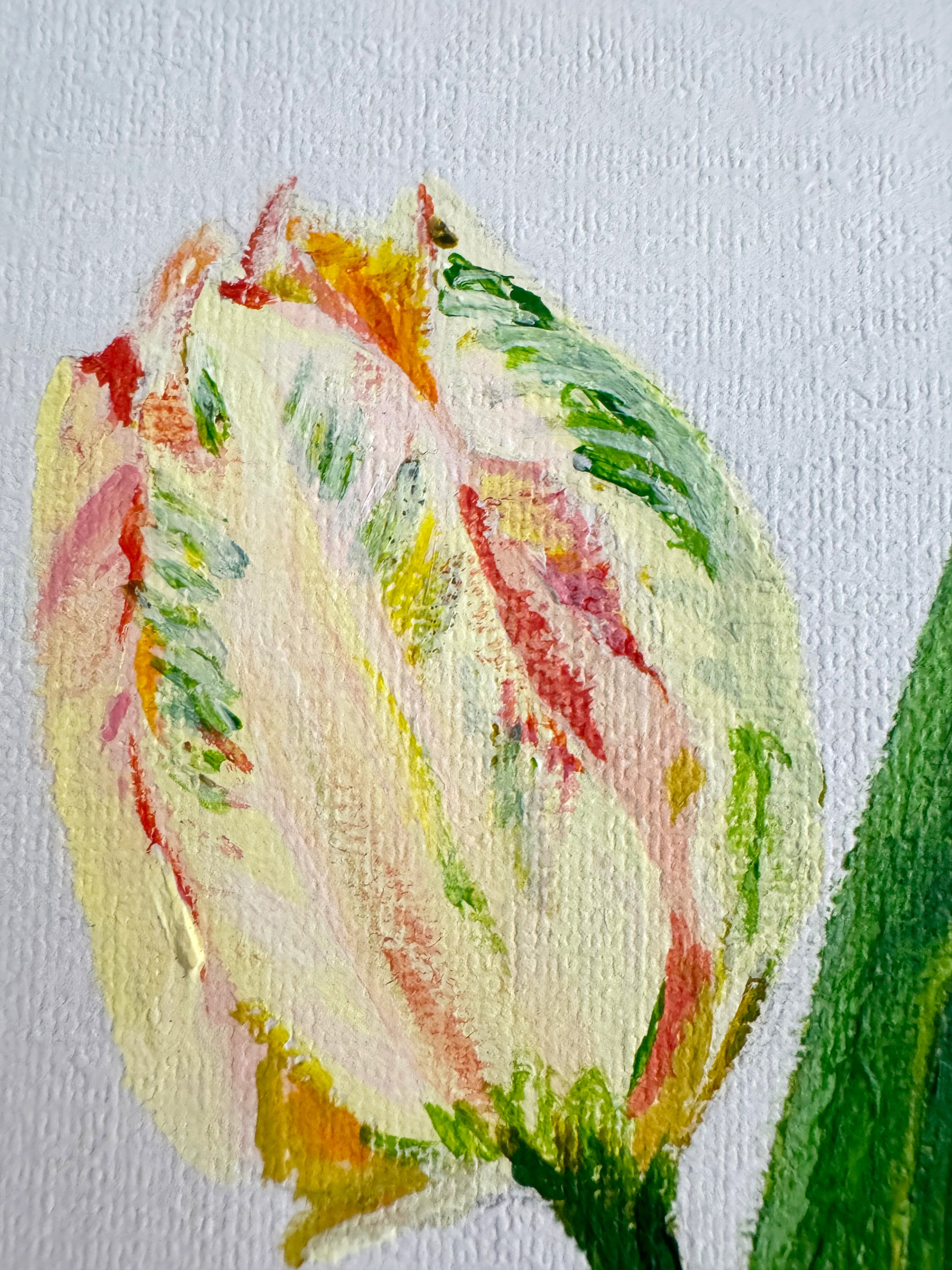 Tulip