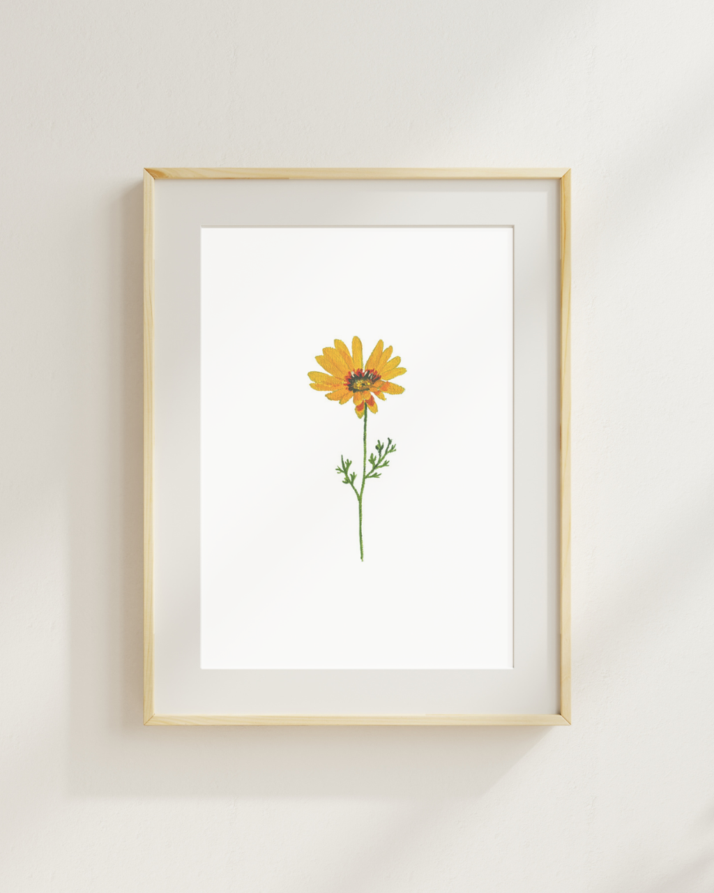 Ursinia Print