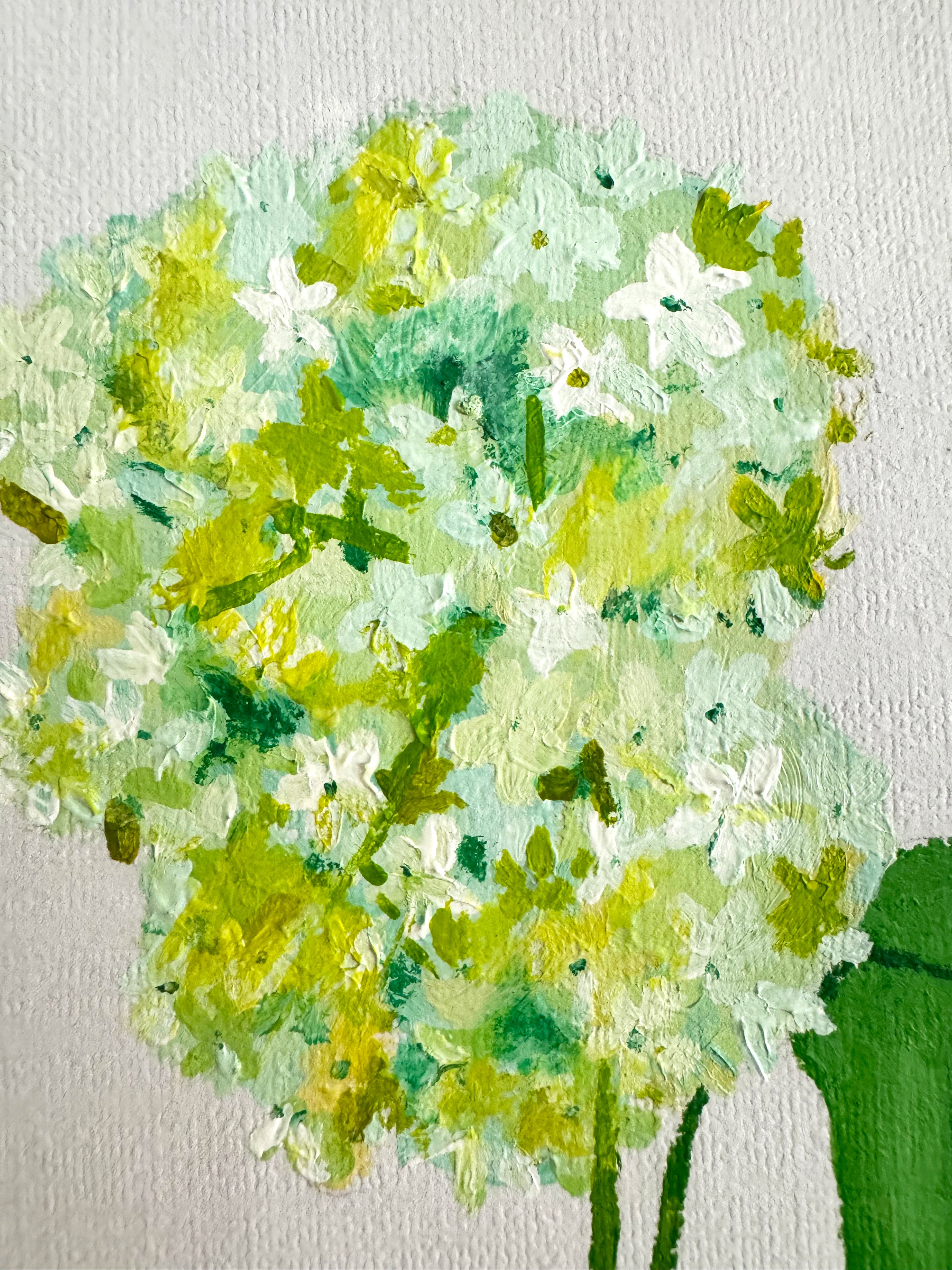 Viburnum