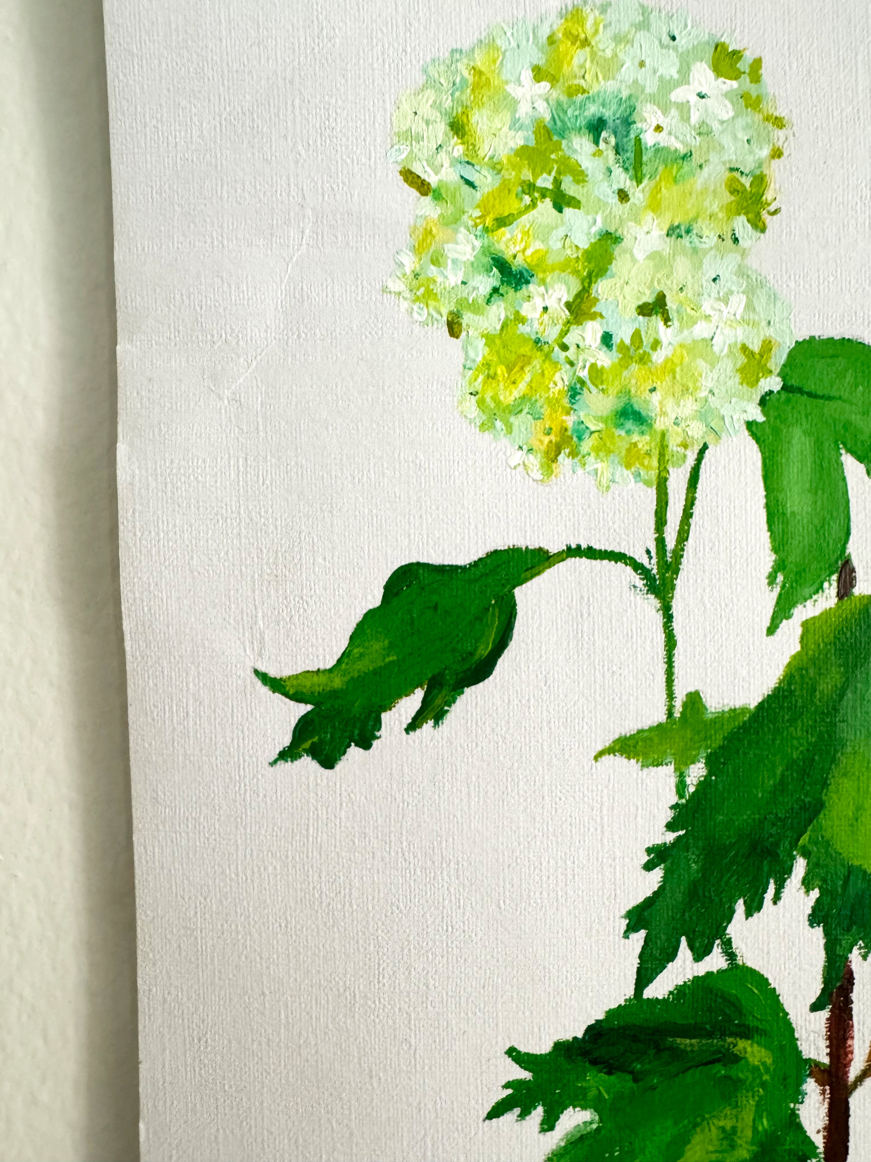 Viburnum