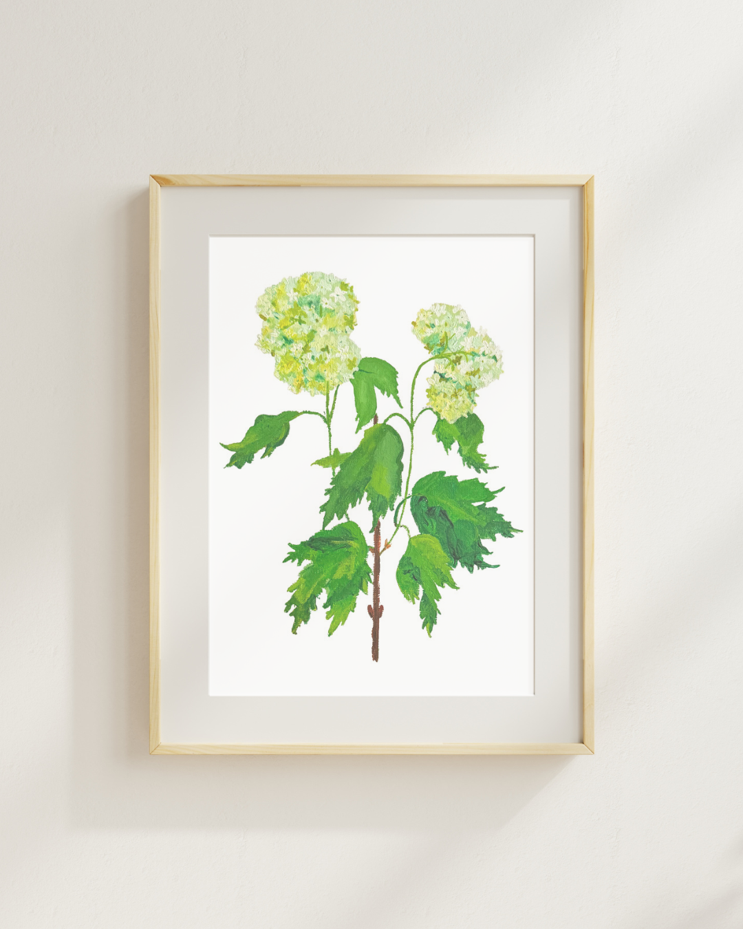 Viburnum Print