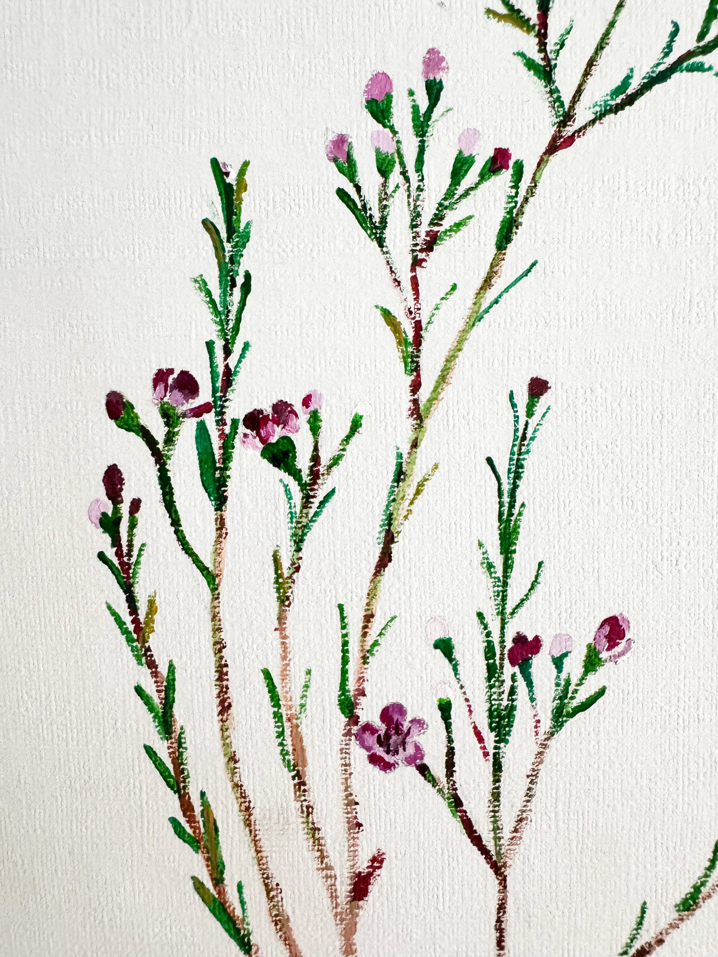 Wax Flower