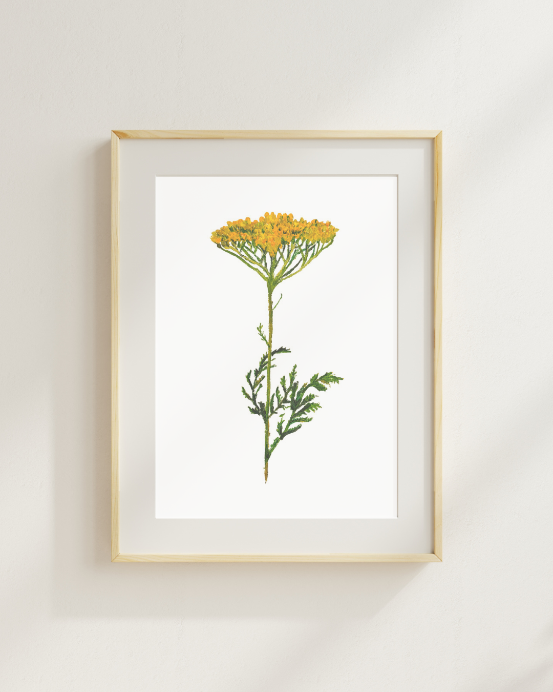 Yarrow Print
