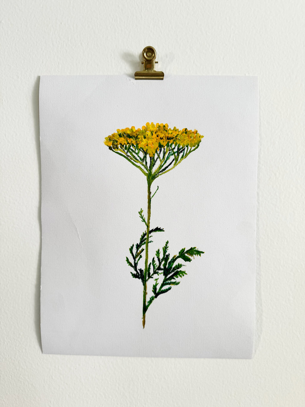 Yarrow