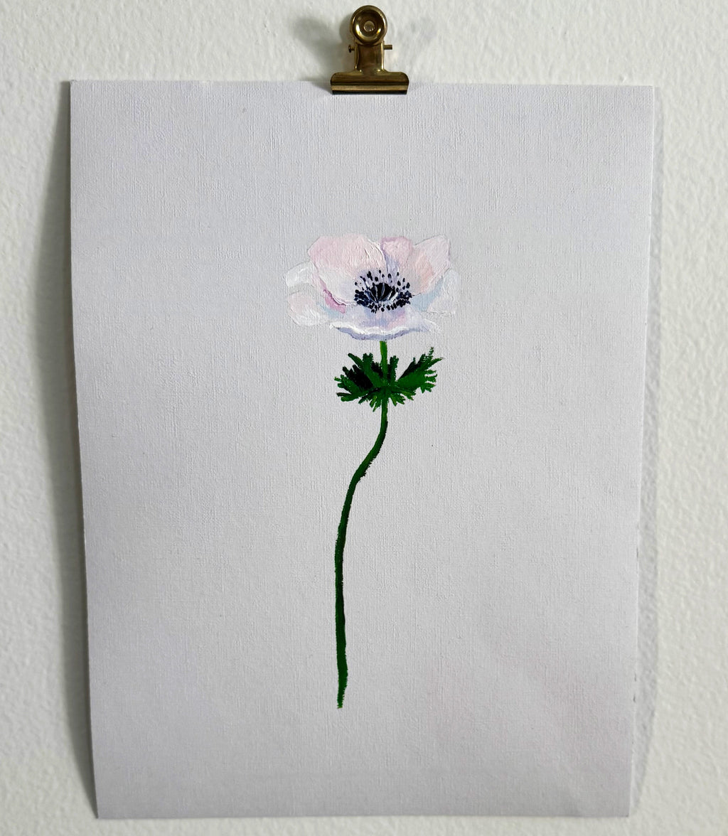 Anemone
