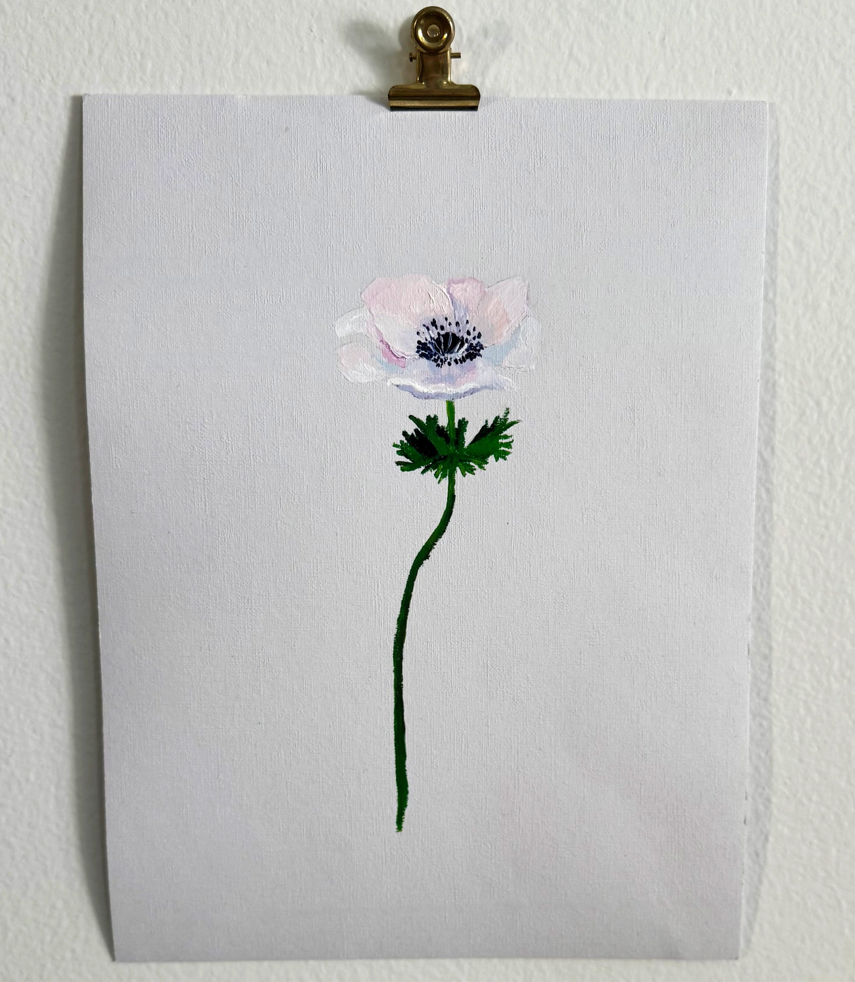 Anemone