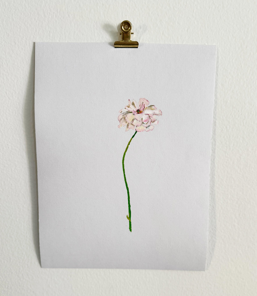 Butterfly Ranunculus
