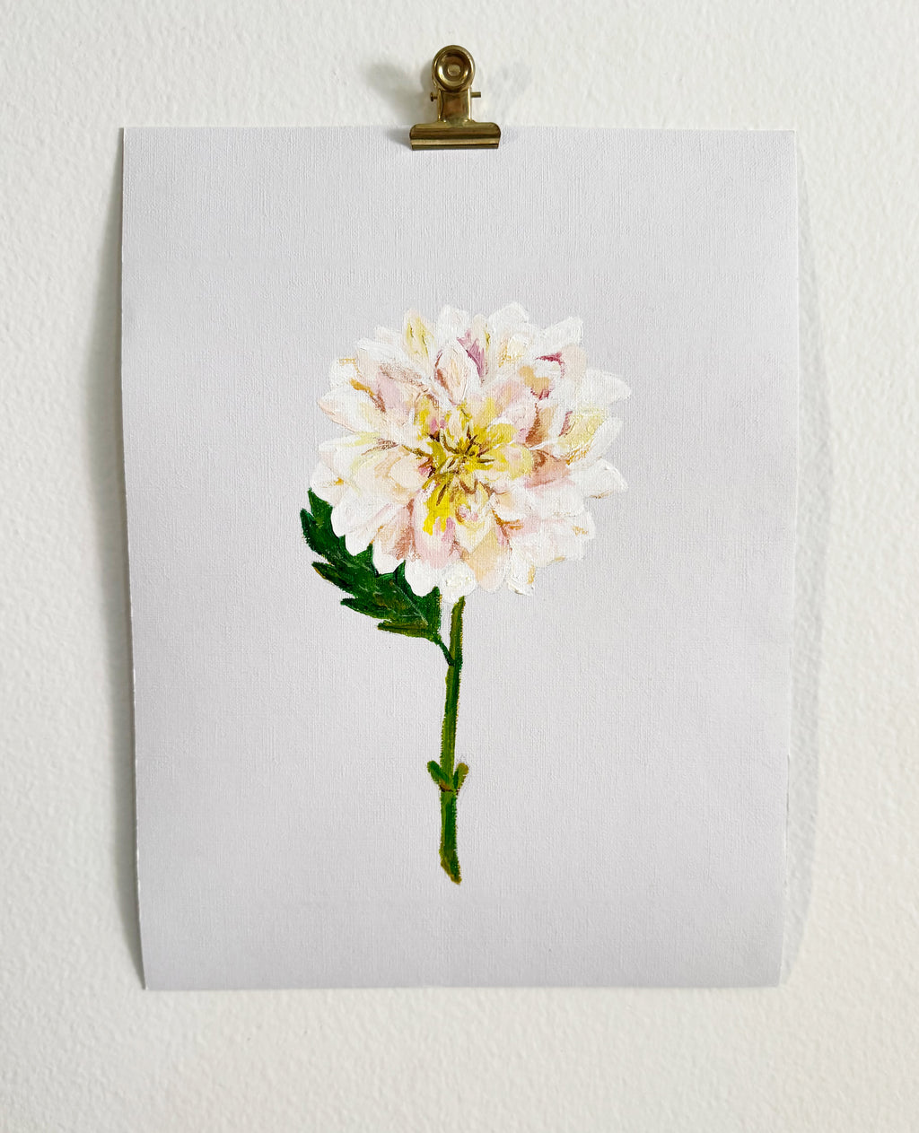 Dahlia