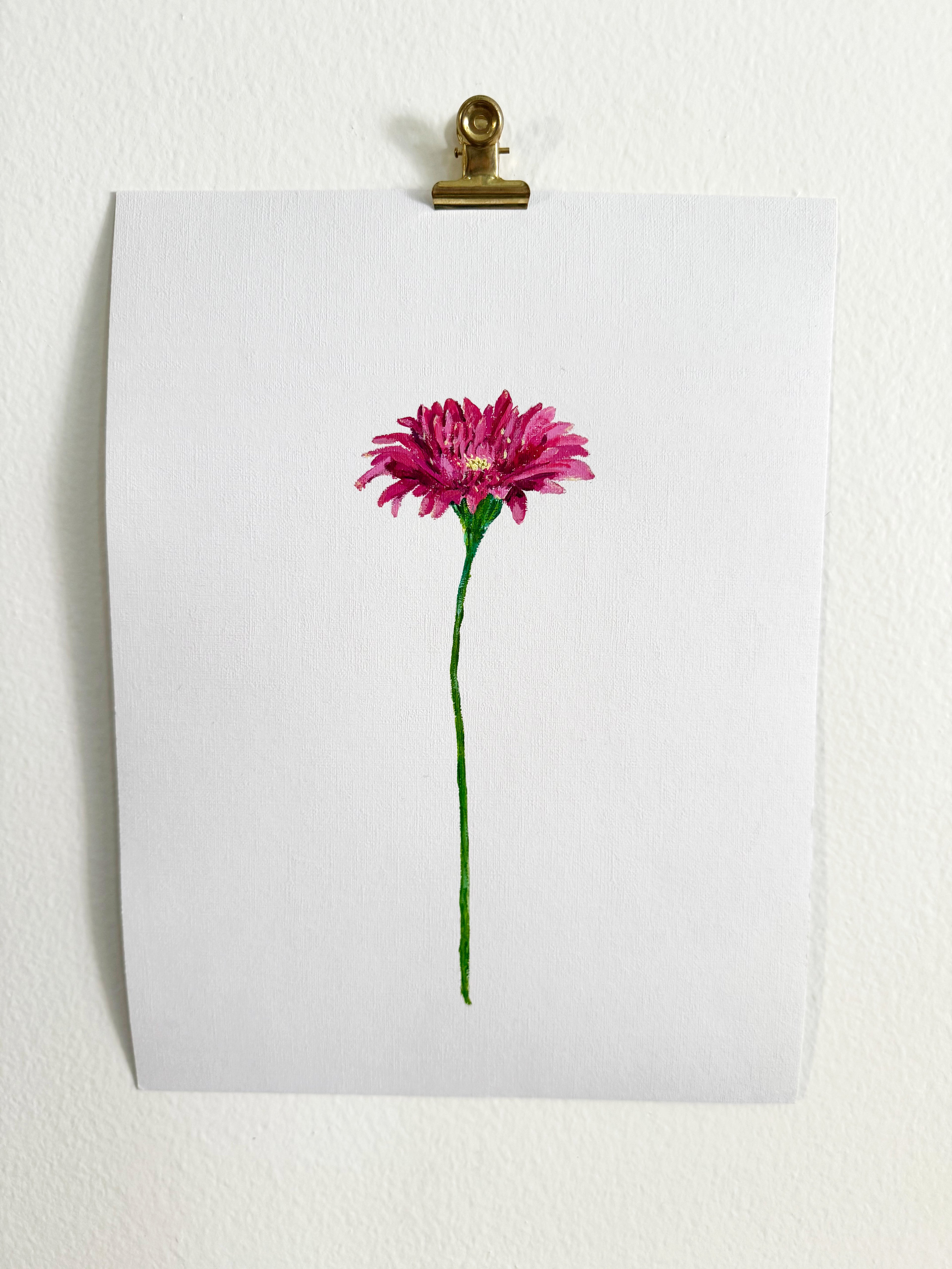 Gerbera Daisy