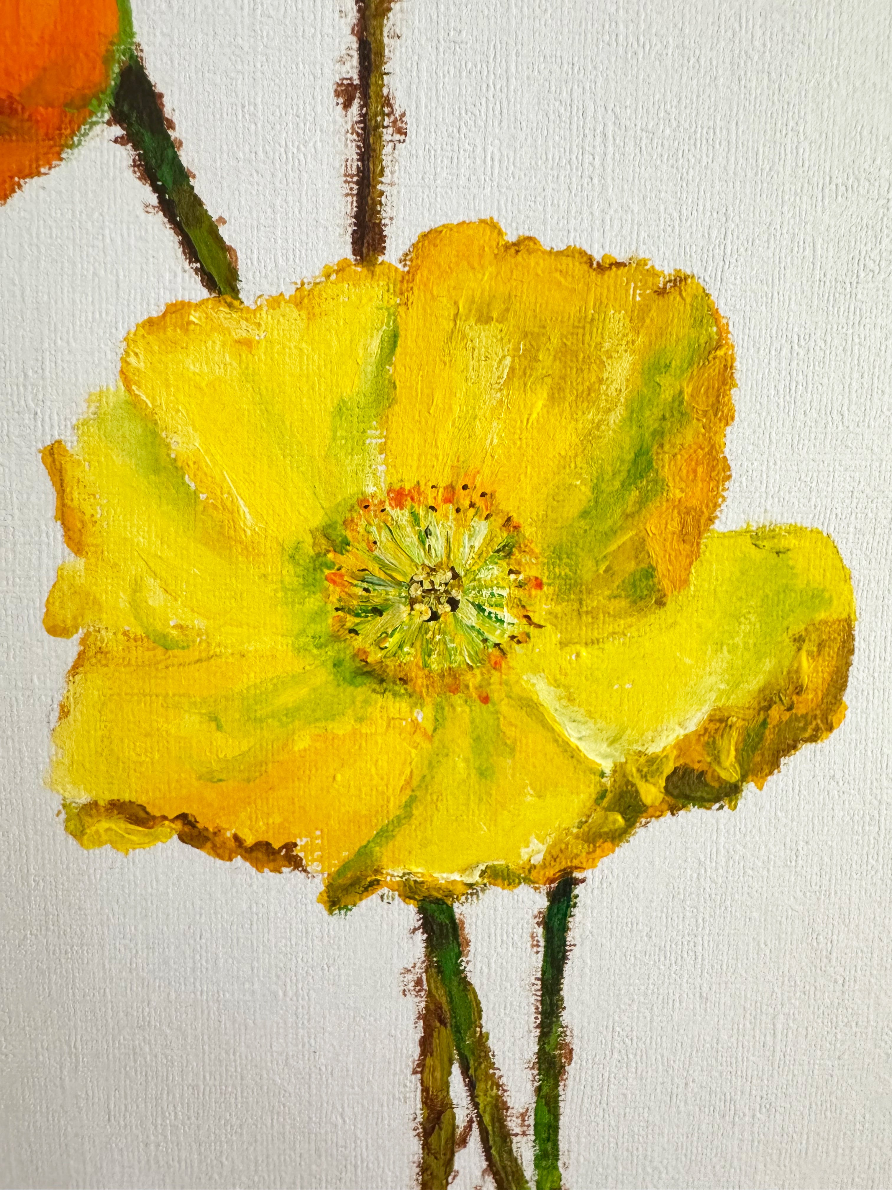 Poppies
